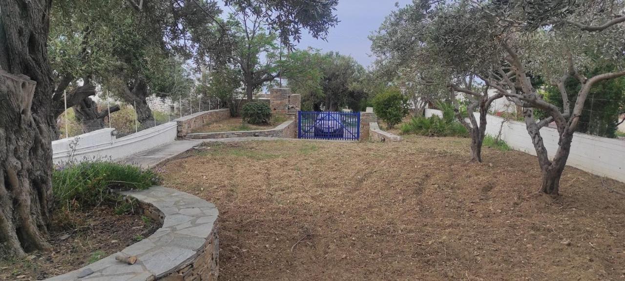 Chrysa'S Cottage House كاريستوس المظهر الخارجي الصورة