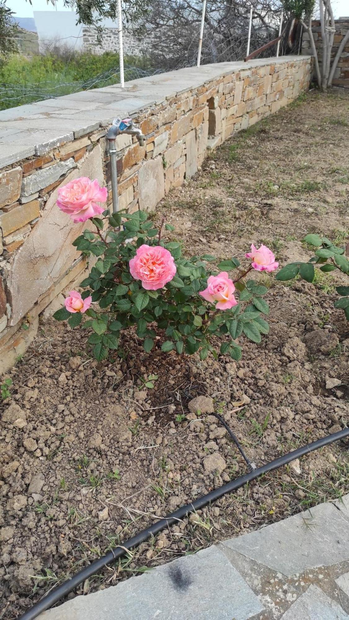 Chrysa'S Cottage House كاريستوس المظهر الخارجي الصورة