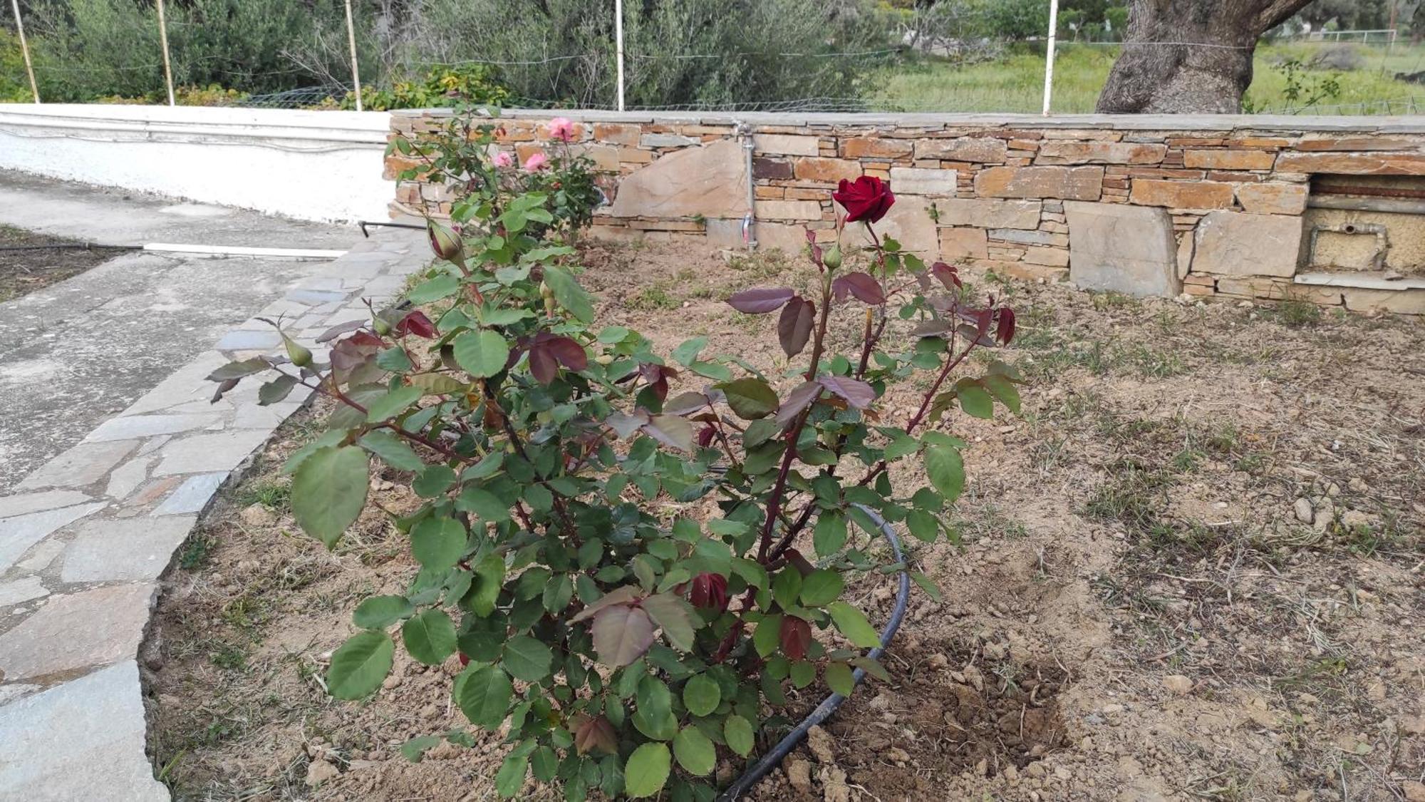Chrysa'S Cottage House كاريستوس المظهر الخارجي الصورة
